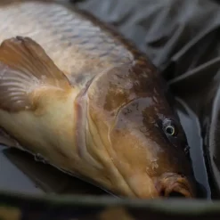 Trakker DPM Crib, Ovale Abhakmatte -Natur Camping Leben trakker dpm oval crib in use 5